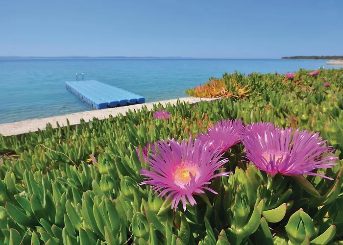 펜션 Amazing In With Sauna *